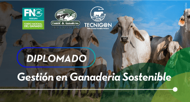 Gestión en Ganadería Sostenible