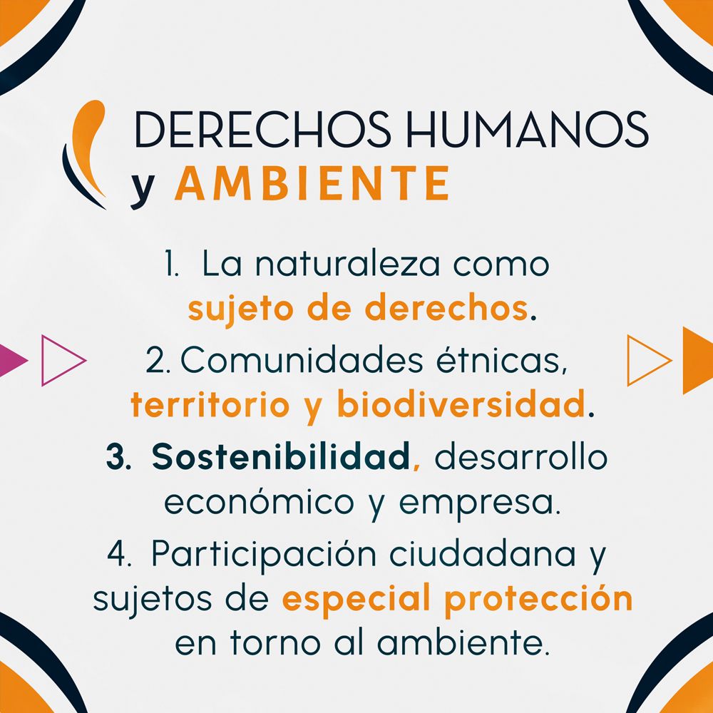 Tarjeta “Derechos Humanos y Ambiente”: naturaleza como sujeto de derechos; comunidades étnicas, territorio y biodiversidad; sostenibilidad y empresa; participación ciudadana y especial protección ambiental.
