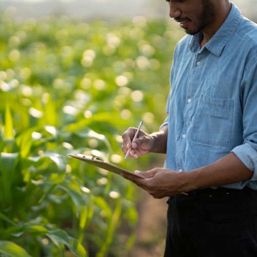 Diplomado en Formación de Mayordomo en Gestión de Haciendas en el Sector Agrario