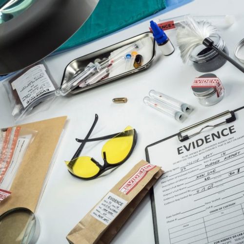 Diplomado en Ingeniería y Arquitectura Forense