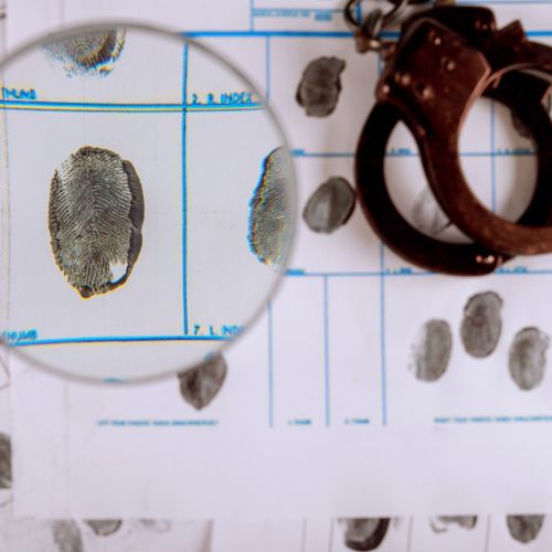 Diplomado en Investigación Criminal y Ciencias Forenses